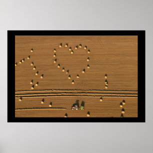 Summer Love Poster