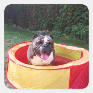 Summer Loving Square Sticker