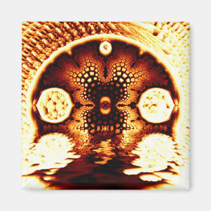 Summer Magnet
