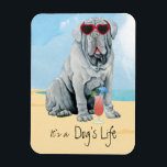 Summer Mastino Magnet<br><div class="desc">It’s a dog’s life! Be cool and celebrate the dog days of summer with this cute Neapolitan Mastiff wearing sunglasses and relaxing with a drink.</div>