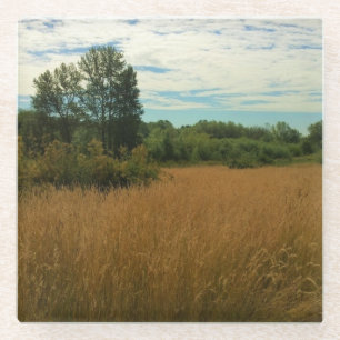 Summer Meadow Glass Coaster