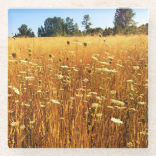 Summer Meadow Glass Coaster