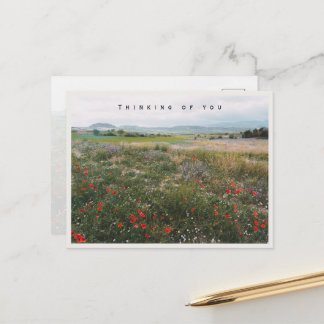 Summer meadow, thinking of you postcard