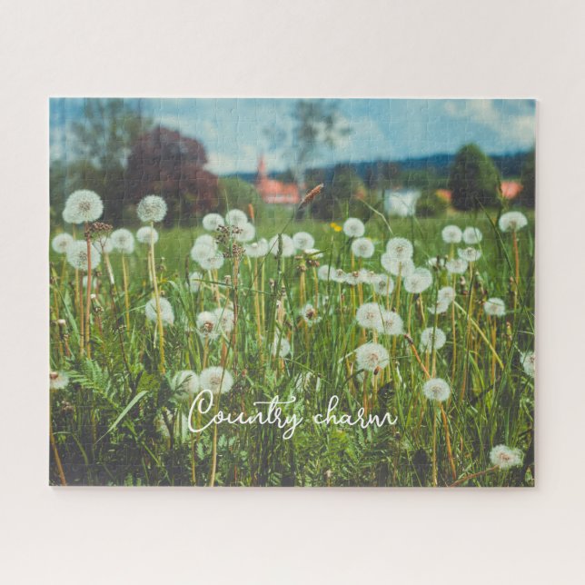 Summer meadow with dandelions jigsaw puzzle (Horizontal)
