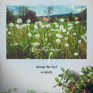 Summer meadow with dandelions poster