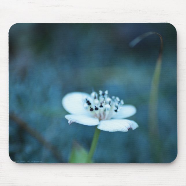 Summer Memories Mouse Pad (Front)