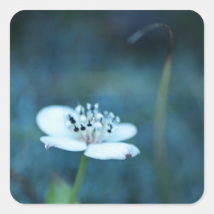 Summer Memories Square Sticker