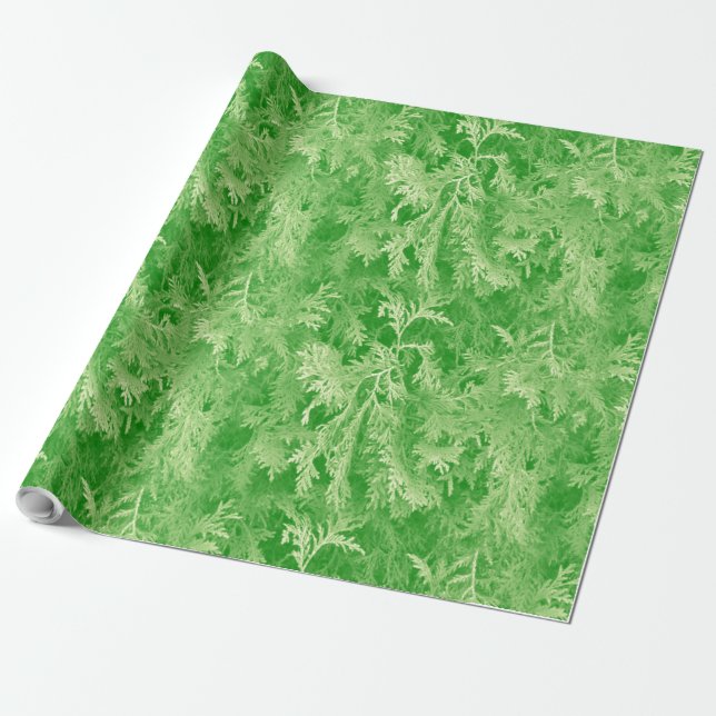 Summer Moss Wrapping Paper (Unrolled)