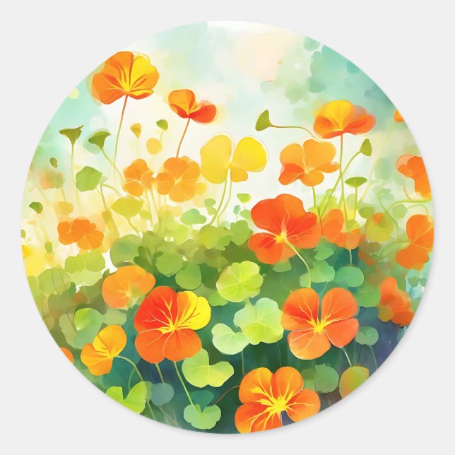 Summer Nasturtium Floral Classic Round Sticker (Front)
