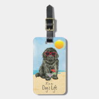 Summer Newfoundland Luggage Tag