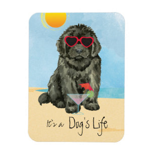 Summer Newfoundland Magnet