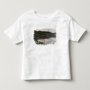 Summer Night, 1886 Toddler T-Shirt