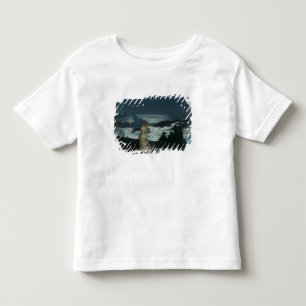 Summer Night, 1890 Toddler T-Shirt