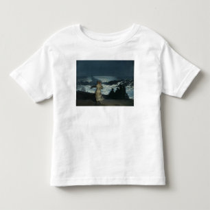 Summer Night, 1890 Toddler T-Shirt