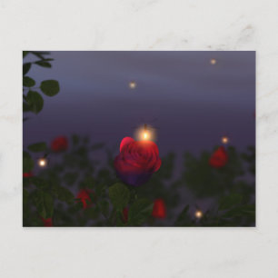Summer Nightlights Postcard