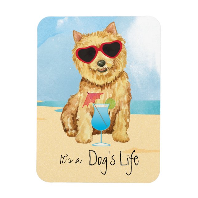 Summer Norwich Terrier Magnet (Vertical)