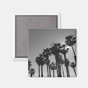 Summer Ocean Palms Black and White Photography Magnet