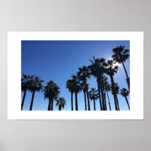 Summer Ocean Palms Poster - Original