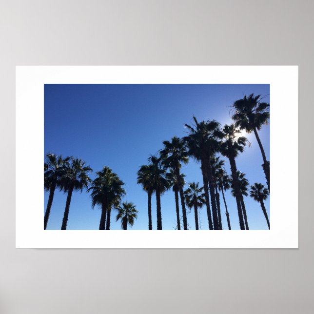 Summer Ocean Palms Poster - Original (Front)