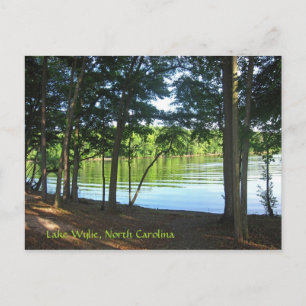 Summer on Lake Wylie! Postcard