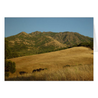 Summer on Mt. Diablo, CA