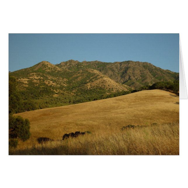 Summer on Mt. Diablo, CA (Front Horizontal)