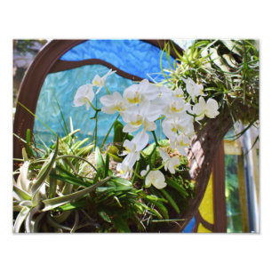 Summer Orchids Photo Print