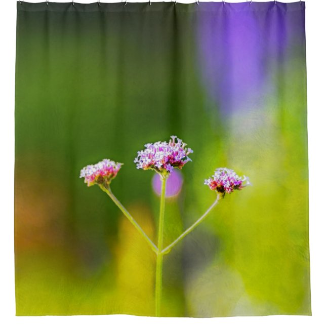 Summer Palette Shower Curtain (Front)