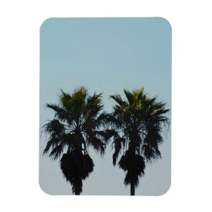 Summer Palm Trees Magnet