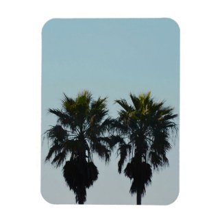 Summer Palm Trees Magnet
