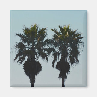 Summer Palm Trees Magnets