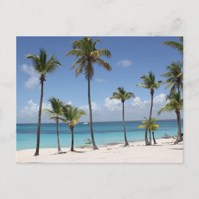 Summer Paradise Holiday Postcard (Front)