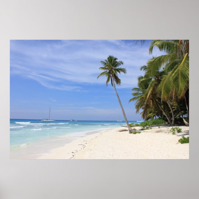 Summer Paradise Poster (Front)