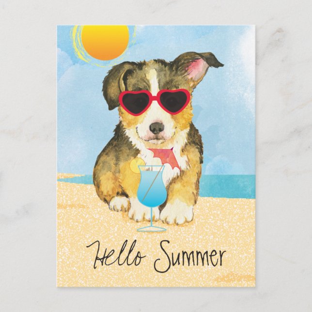 Summer Pembroke Welsh Corgi Postcard (Front)