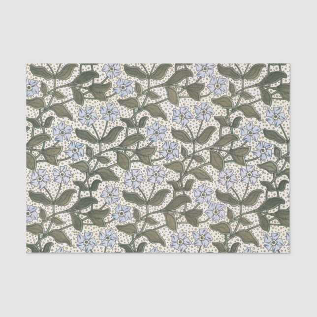 Summer Periwinkle Flower Pretty Elegant Floral Tissue Paper (Front)
