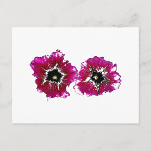 Summer Petunias Postcard