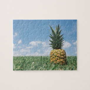 Summer Pineapple Jigsaw Puzzle