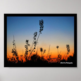 Summer Plant Silhouettes Poster