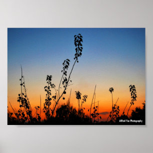 Summer Plant Silhouettes Poster