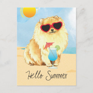 Summer Pomeranian Postcard
