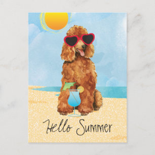 Summer Poodle Postcard