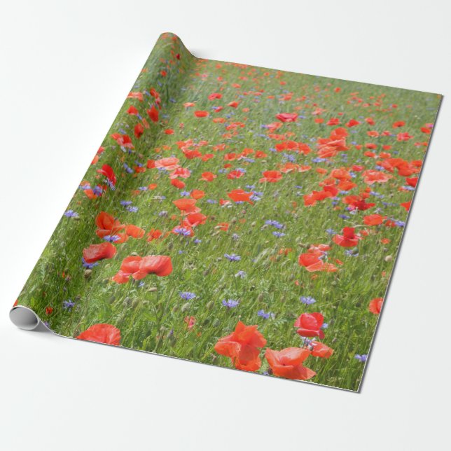 Summer poppies and cornflowers wrapping paper (Unrolled)