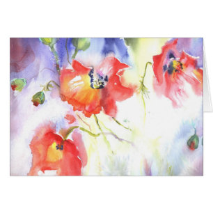 summer poppies dream