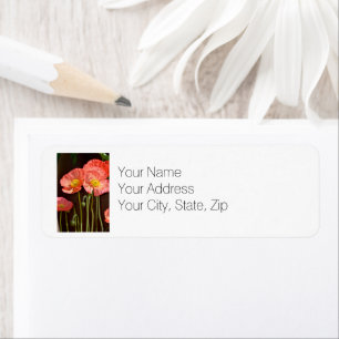 Summer Poppies Return Address Label