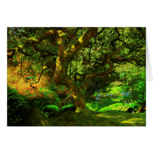 Summer, Portland Japanese Garden, Portland