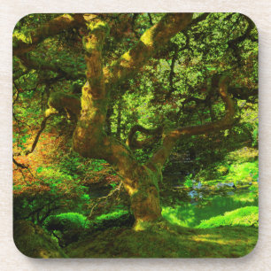 Summer, Portland Japanese Garden, Portland Coaster