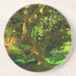 Summer, Portland Japanese Garden, Portland Coaster