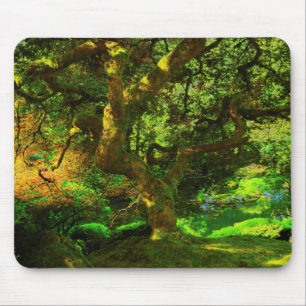 Summer, Portland Japanese Garden, Portland Mouse Pad