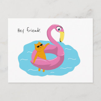 Summer postcard with cat