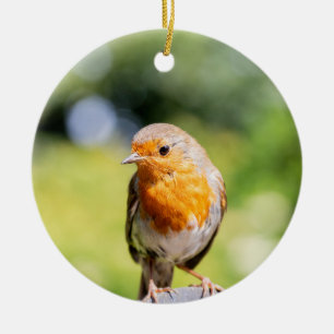 Summer Robin Ceramic Ornament